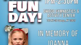 Owego Gymnastics to host Family Fun Day on October 25