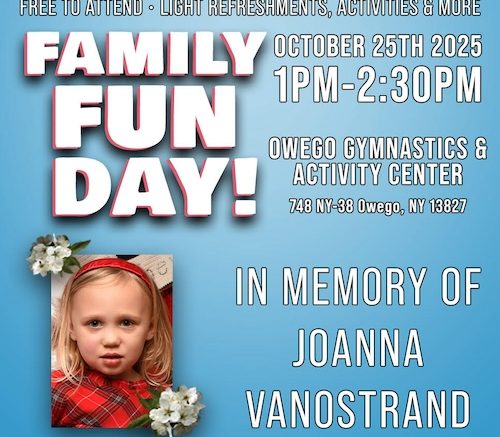 Owego Gymnastics to host Family Fun Day on October 25