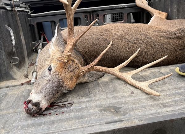 Trophy Deer Poached at Night – Tioga County