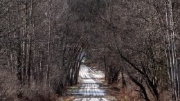 Murder One trial continues in Owego