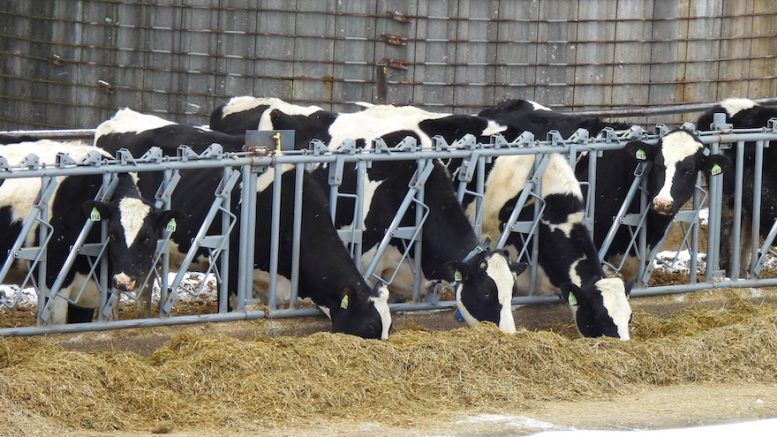 Federal actions threaten New York's farms and food production