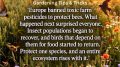 Let’s Get Back to Growing Food for Health ‘26; Food is Medicine