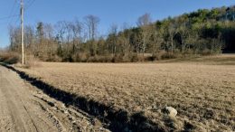 Tioga County IDA mulls land deal for Nichols development