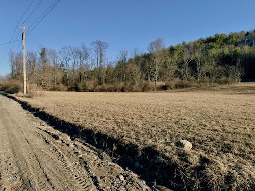 Tioga County IDA mulls land deal for Nichols development