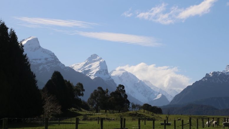 Glaciers, Mountains, Wildlife: Talk Takes Viewers to New Zealand