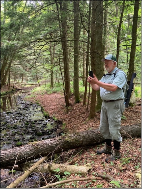 Trout Unlimited and Local Volunteers Begin Year Three of Trout Management on Owego Creek