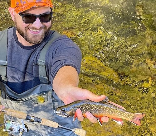 Trout Unlimited and Local Volunteers Begin Year Three of Trout Management on Owego Creek