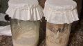 Homesteading 101: Sourdough