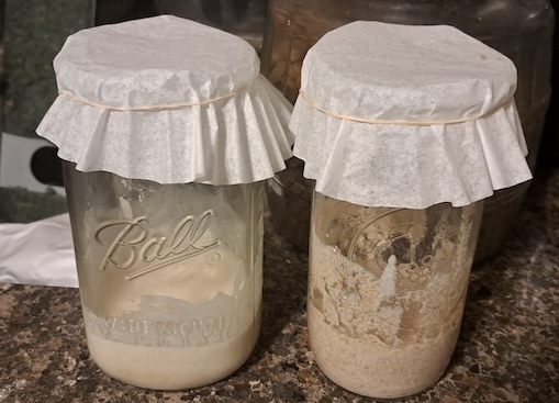 Homesteading 101: Sourdough