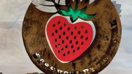 Selection Announced for North Avenue Art Installation