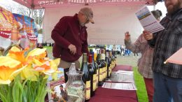 A Sure Sign of Spring; Daffodil Festival returns to Candor on April 25