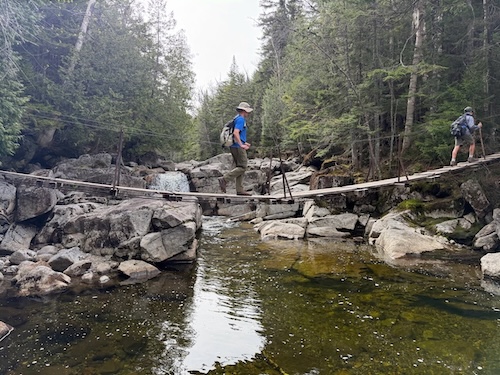 Adventures of Local Scouting