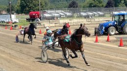 Experience Live Harness Racing at the Tioga County Fairgrounds